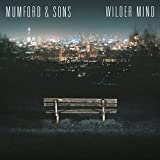 Wilder Mind