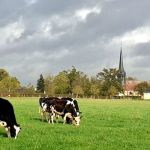 La vie et la beauté sont dans le pré avec Antoine Thibault