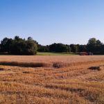 JP Boué, super agriculteur