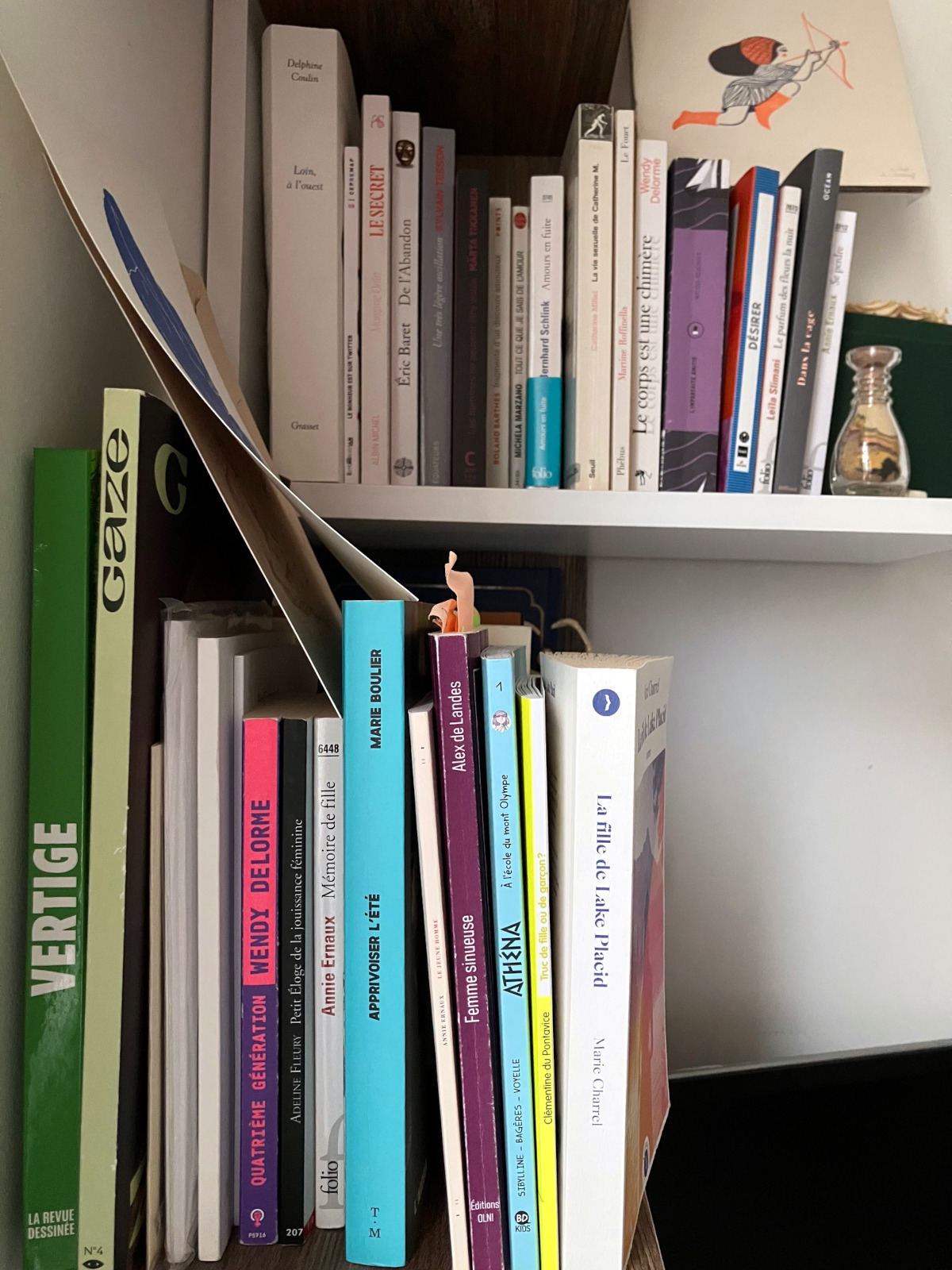 Bibliothèque sinueuse