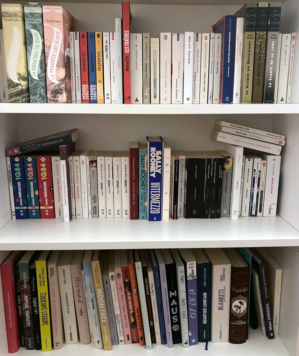 Des livres dont Despentes