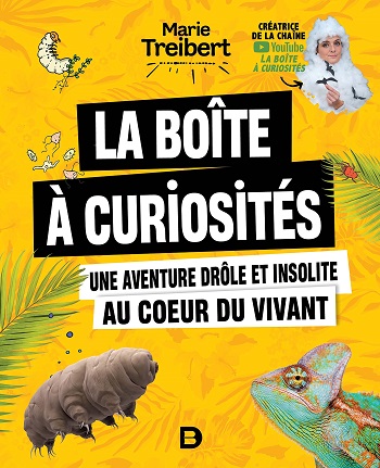 La boîte à curiosités, de Marie Treibert