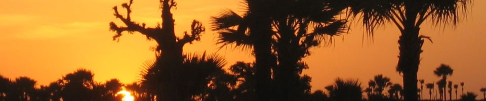 Le ciel vu depuis le caniveau